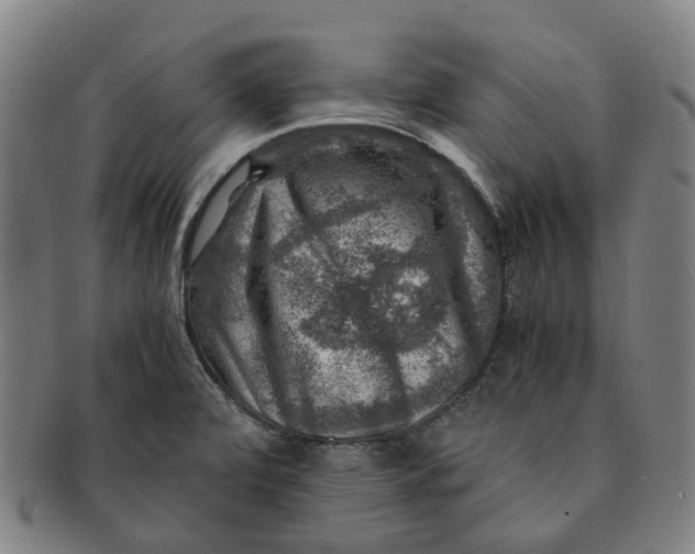 X0000091011472200708241501