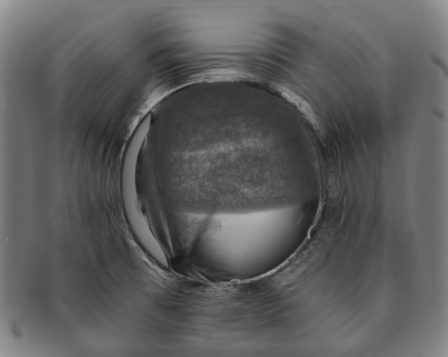 X0000091011473200708241501