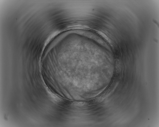 X0000091011474200708241501