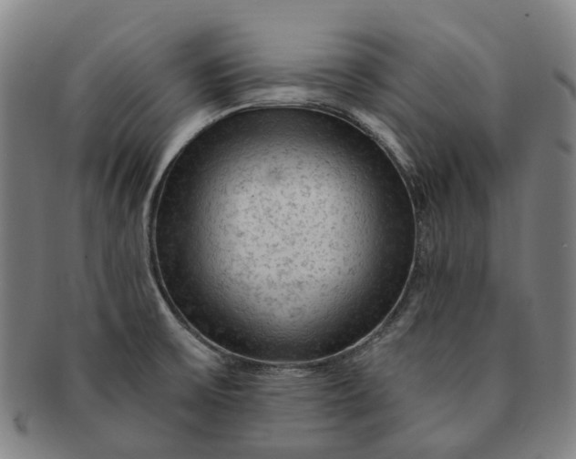 X0000091011475200708241501