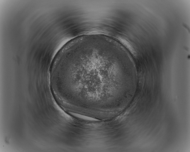 X0000091011476200708241501