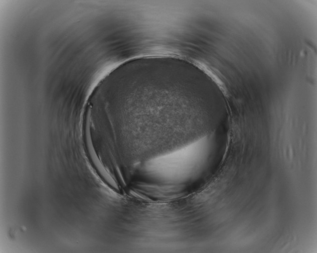 X0000091011477200708241501