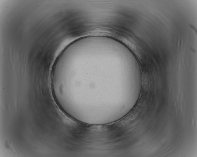 X0000091011478200708241501