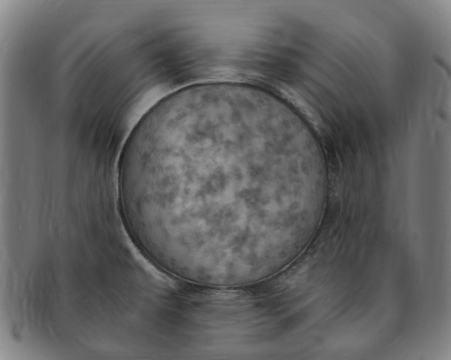 X0000091011479200708241501