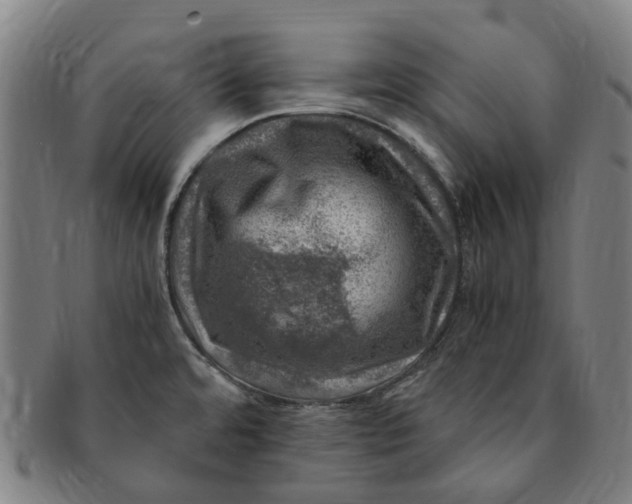 X0000091011480200708241501