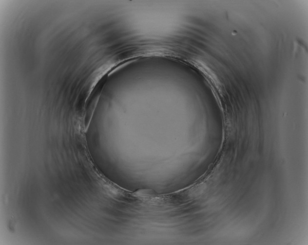 X0000091011481200708241501