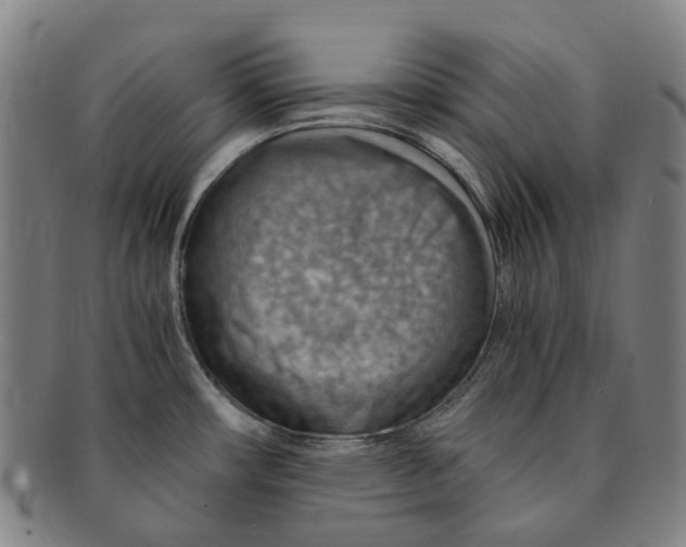 X0000091011482200708241501