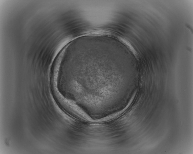 X0000091011483200708241501