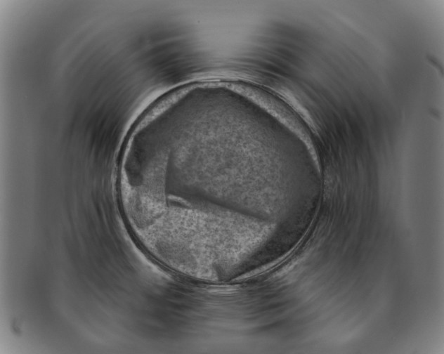 X0000091011484200708241501