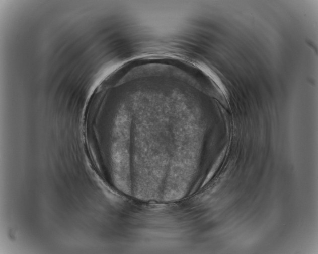 X0000091011485200708241501