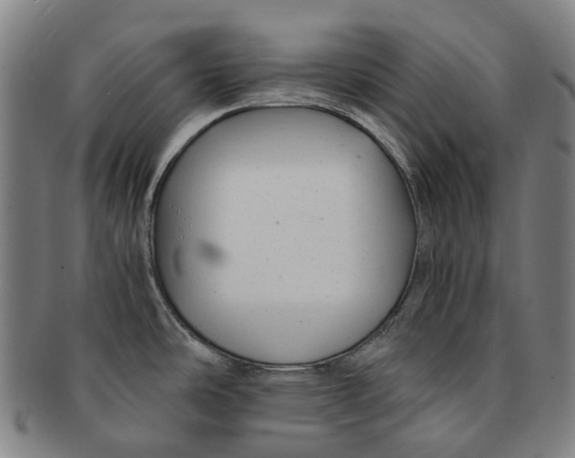 X0000091011486200708241501