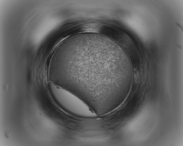 X0000091011487200708241501