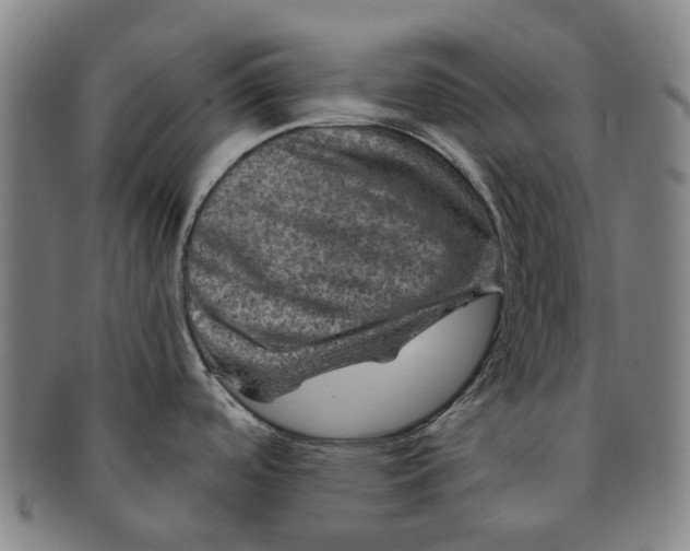 X0000091011488200708241501