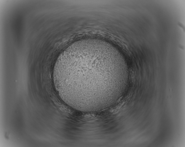 X0000091011489200708241500