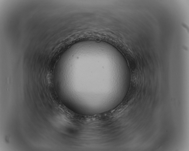 X0000091011490200708241500