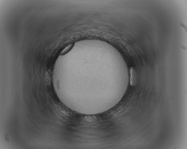 X0000091011491200708241500