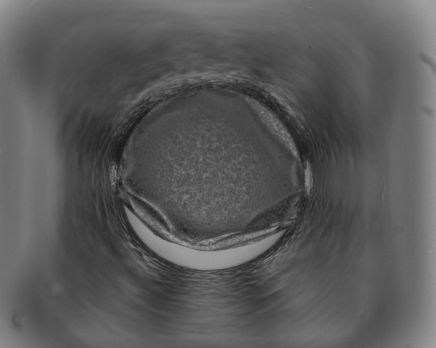 X0000091011492200708241500