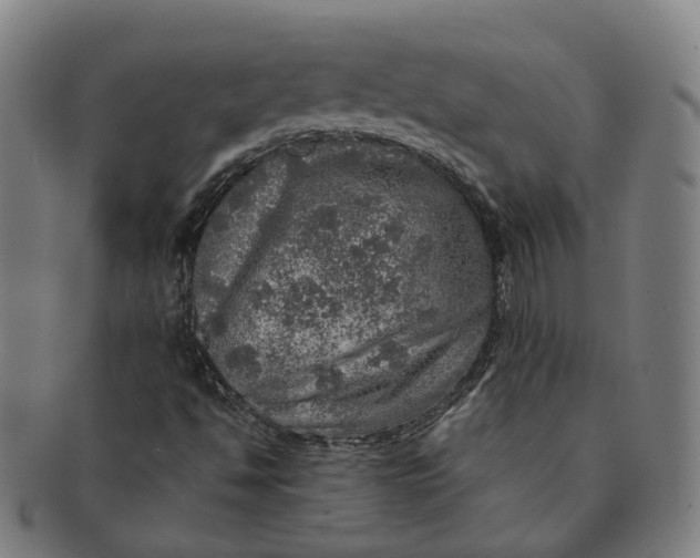 X0000091011494200708241500