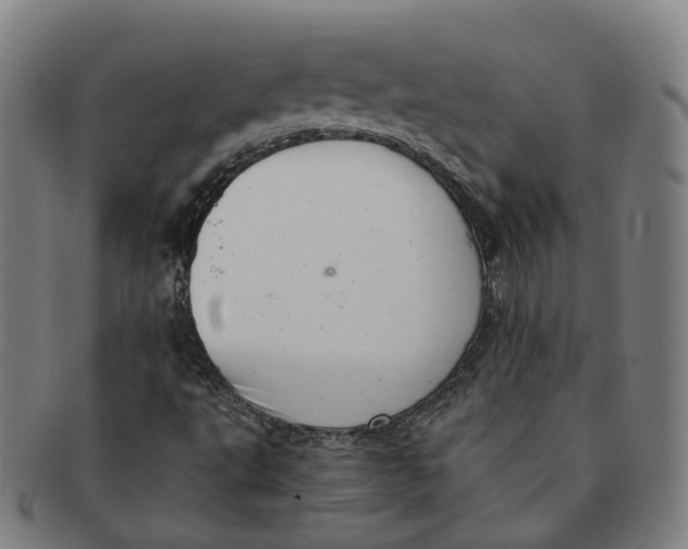 X0000091011495200708241500