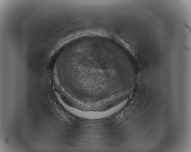 X0000091011496200708241500