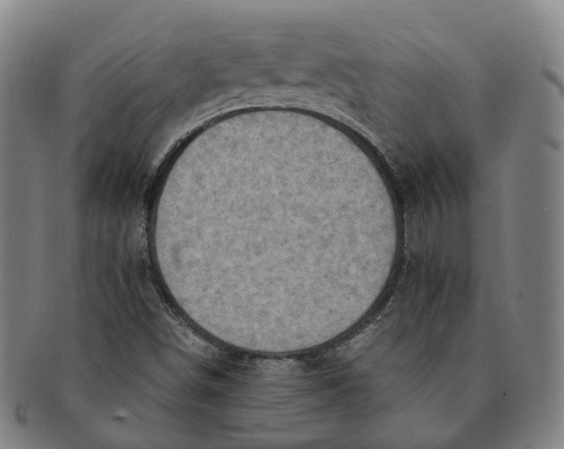 X0000091011498200708241500