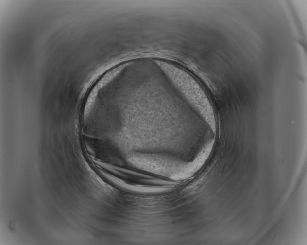 X0000091011500200708241500