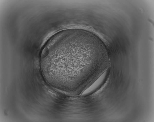 X0000091011501200708241500