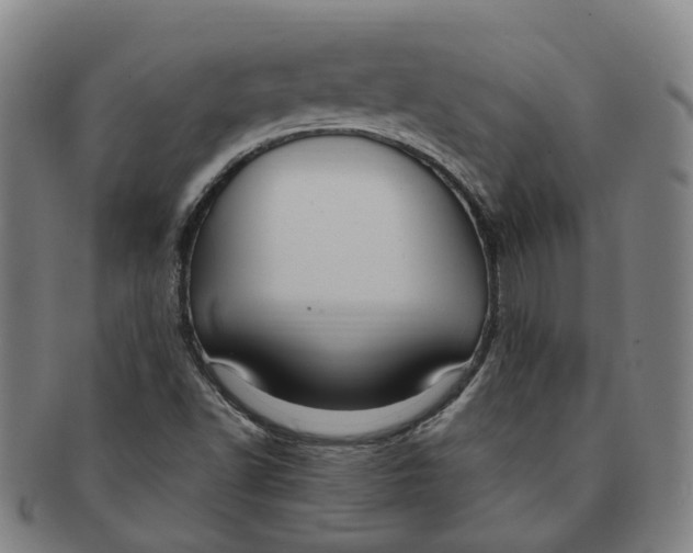 X0000091011502200708241500