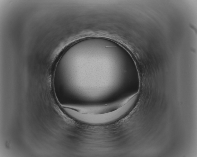 X0000091011503200708241500