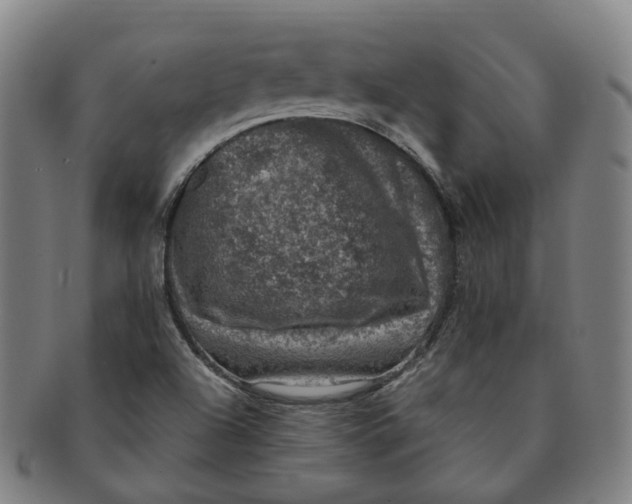 X0000091011504200708241500