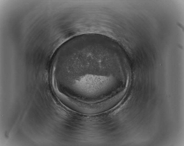 X0000091011505200708241500