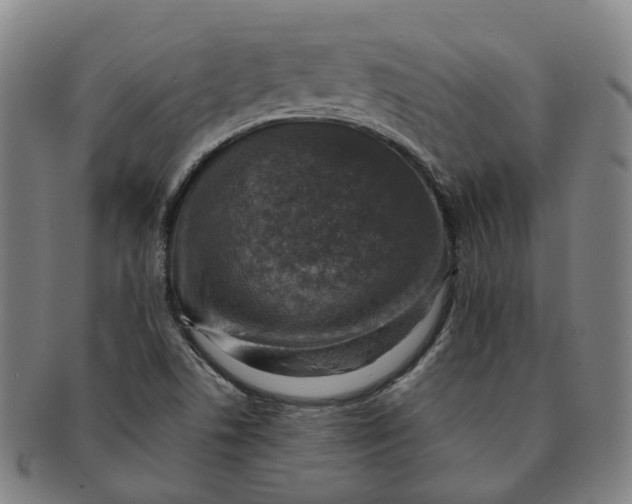 X0000091011506200708241500