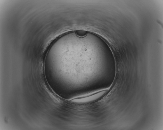 X0000091011507200708241500