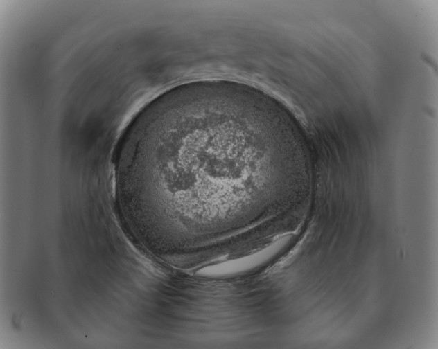 X0000091011509200708241501