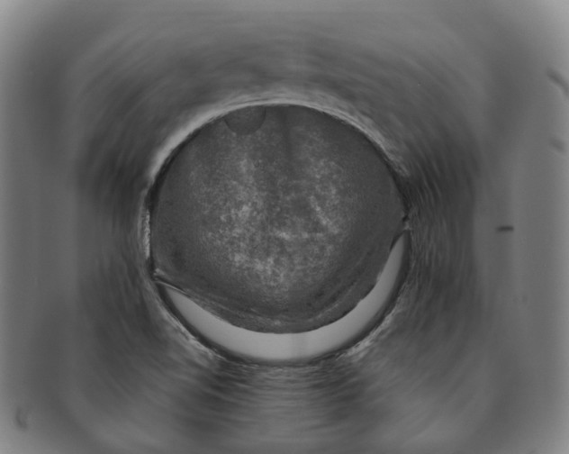 X0000091011510200708241501