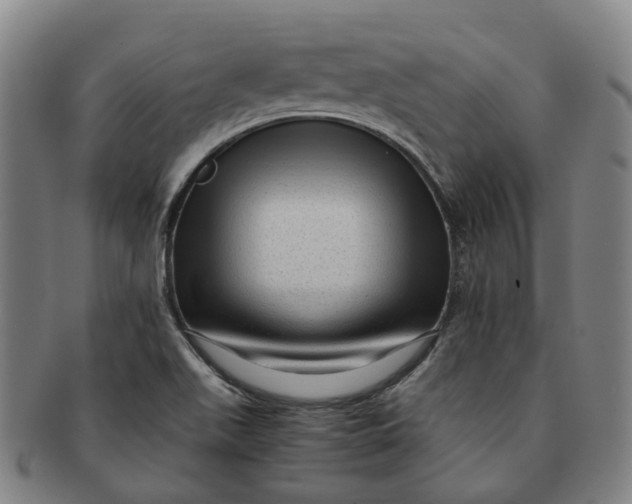 X0000091011511200708241501