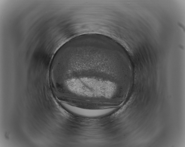 X0000091011513200708241501