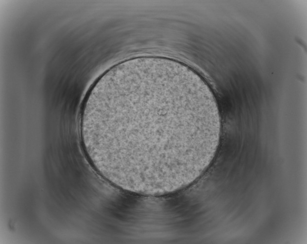 X0000091011514200708241501