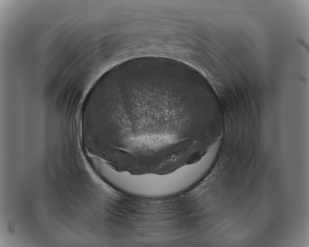 X0000091011515200708241501