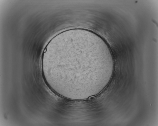 X0000091011516200708241501