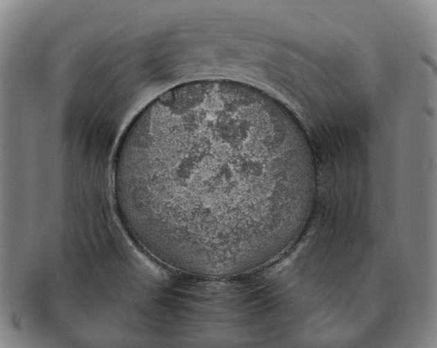 X0000091011517200708241501