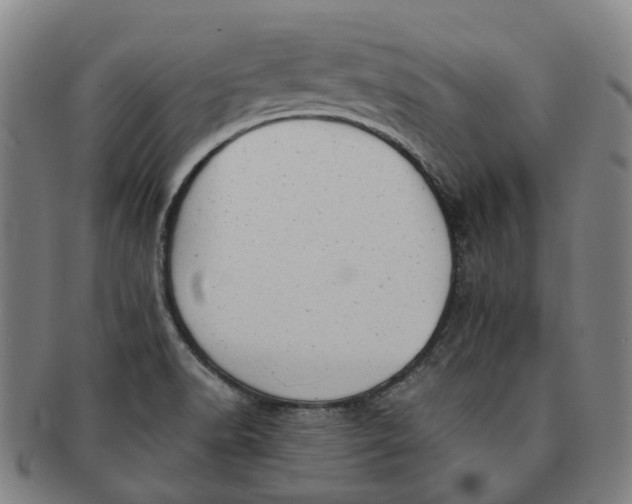 X0000091011518200708241501