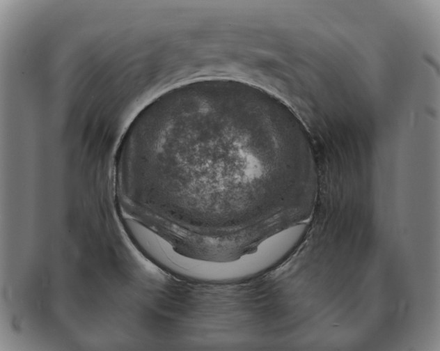 X0000091011519200708241501