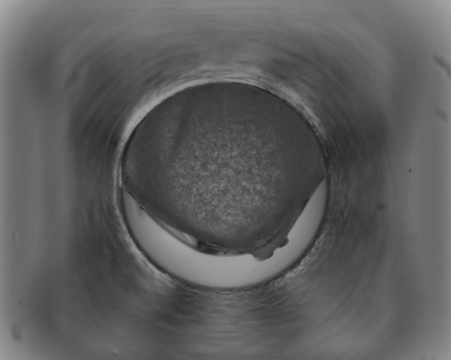 X0000091011520200708241501