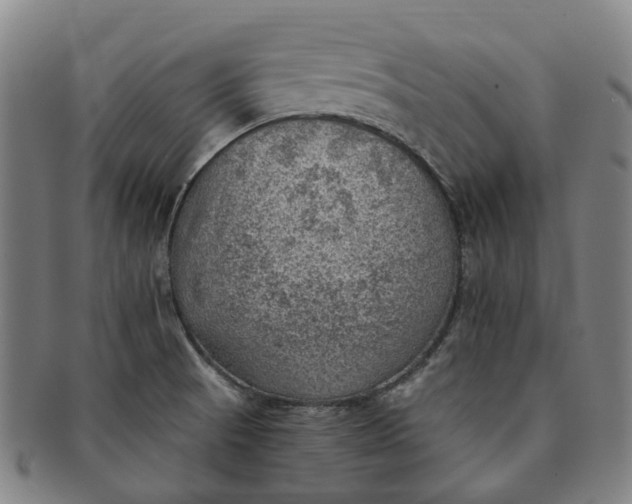 X0000091011521200708241501