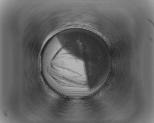 X0000091011522200708241501