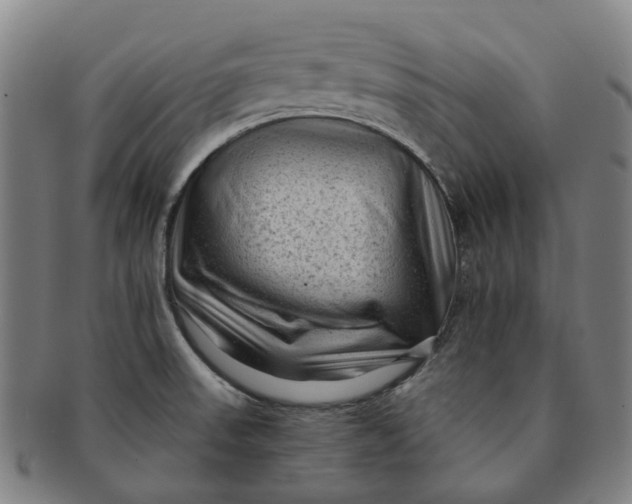 X0000091011523200708241501