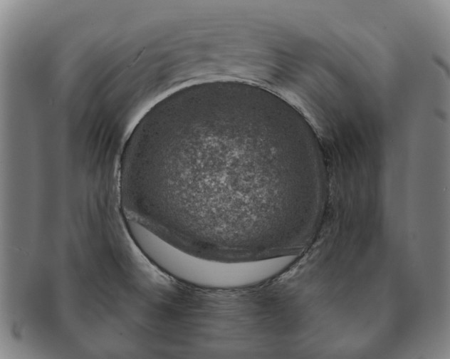 X0000091011524200708241501