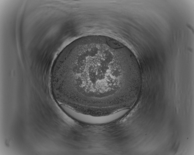 X0000091011525200708241501