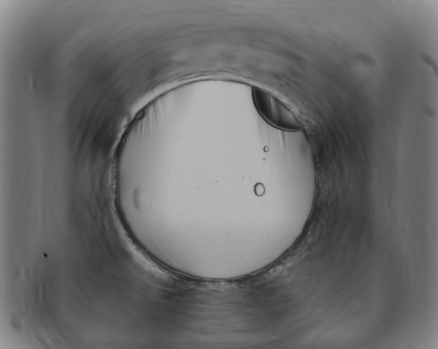 X0000091011526200708241501